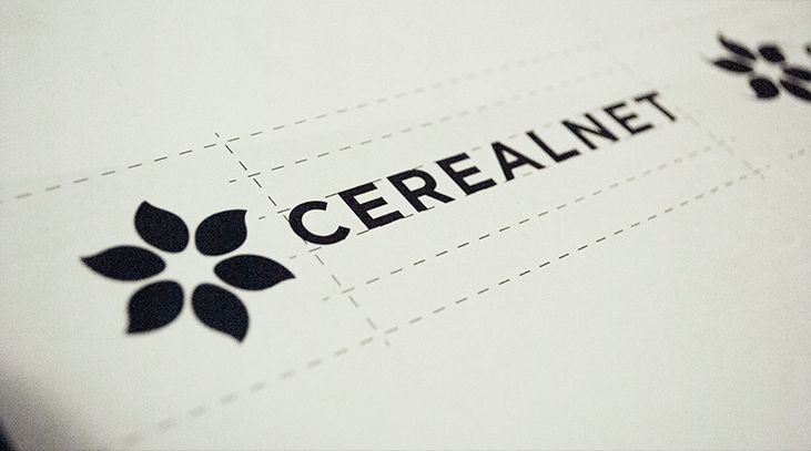 品牌設計的要點(diǎn) 品牌設計的要點(diǎn)