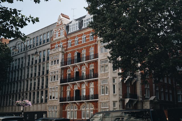 1713428520337286.jpg pexels-enzoelgalgo-2664810.jpg